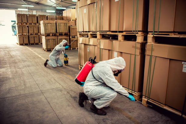 Best Affordable Pest Control Services  in Princeton, KY