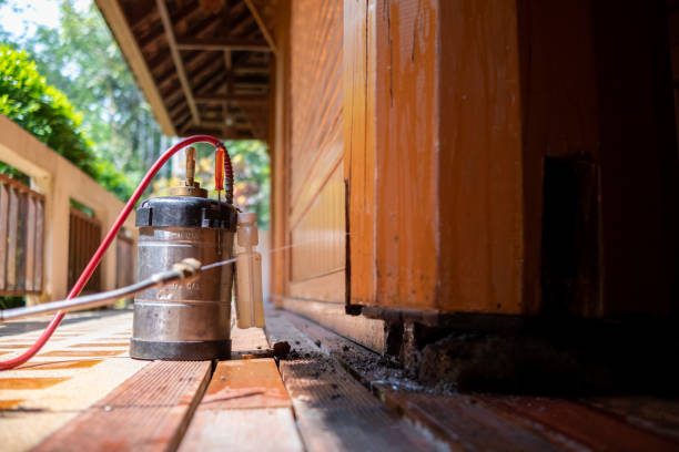 Best Affordable Pest Control Services  in Princeton, KY