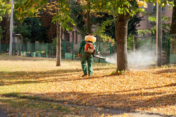 Best Wasp Removal Services  in Princeton, KY