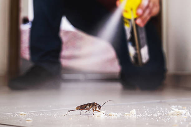 Princeton, KY Pest Control Company